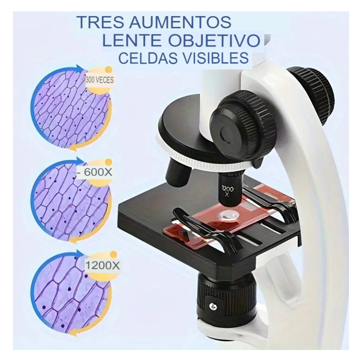 Kit Microscopio Compuesto Luz 100x-450x